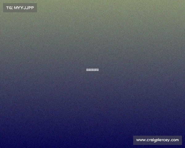 体育记者在哪工作