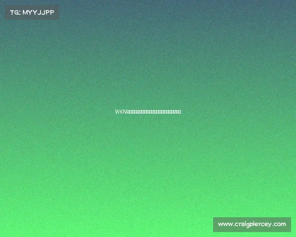 WKN赛事全面解析揭秘世界踢拳击网络的核心赛事体系