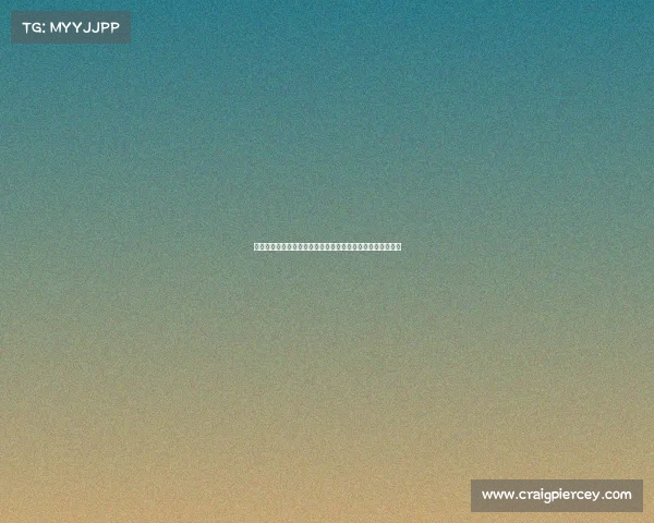 中国男排近期国际赛事表现精彩回顾团队拼搏精神与战术进化