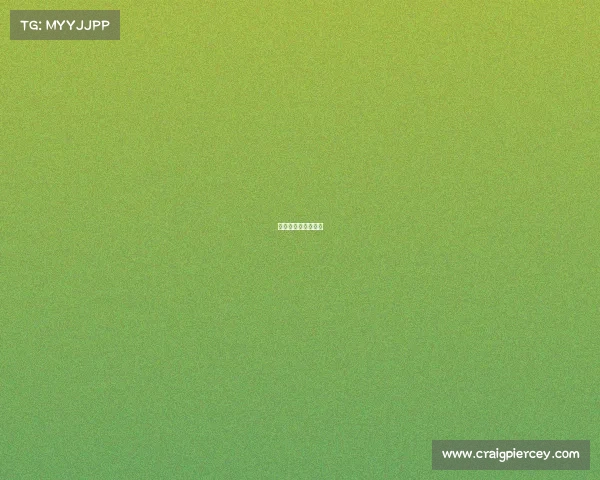 橄榄球比赛视频回放